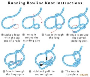 End of the clearance line bowline