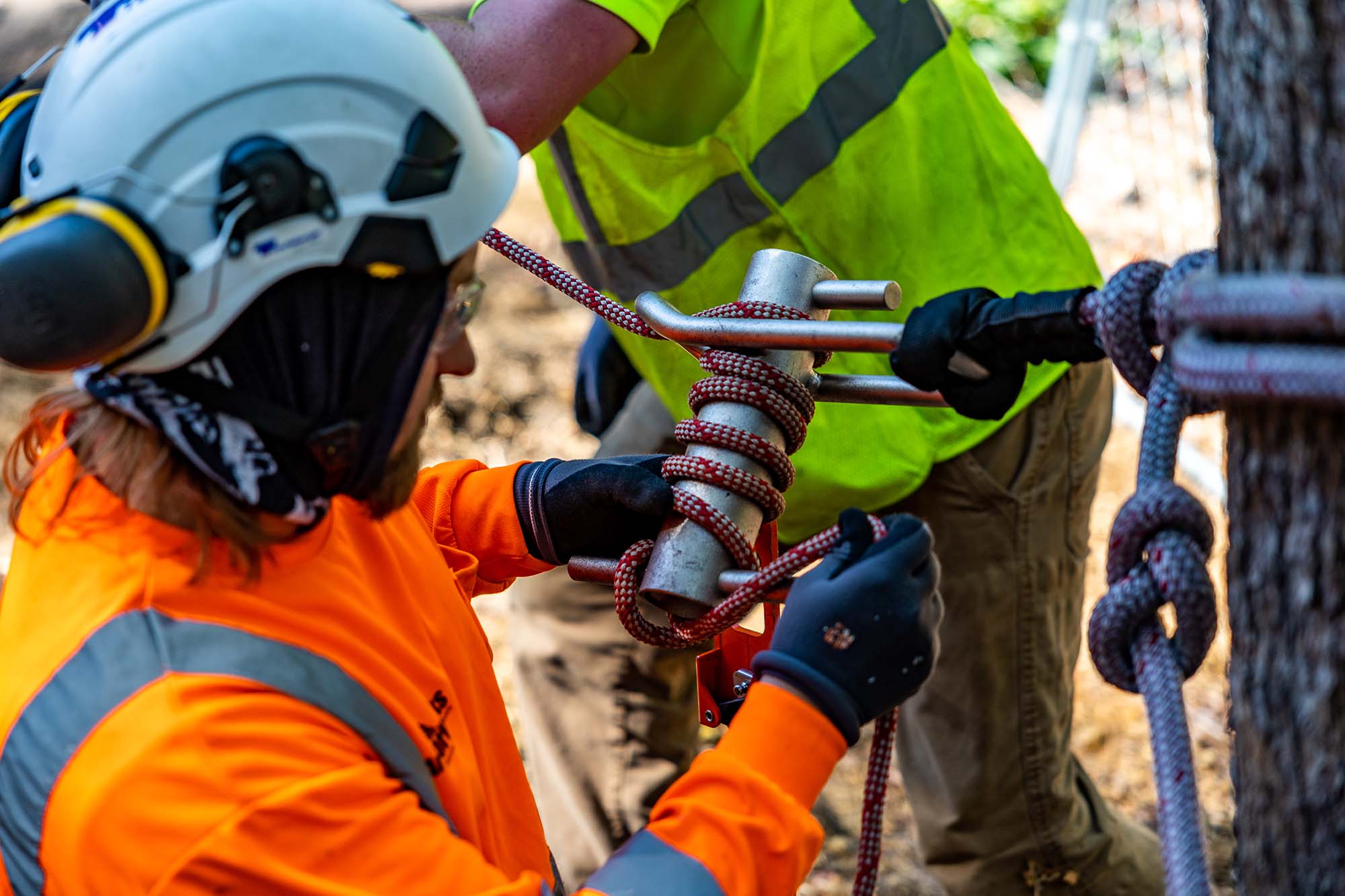 utility-vegetation-management-arborworks