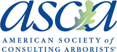 asca ASCA