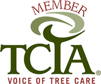 TCIA Member