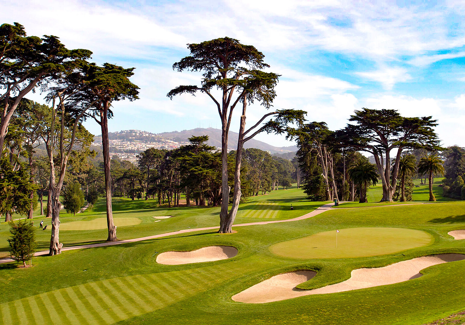 Tree Care Service for Lake Merced Golf Course